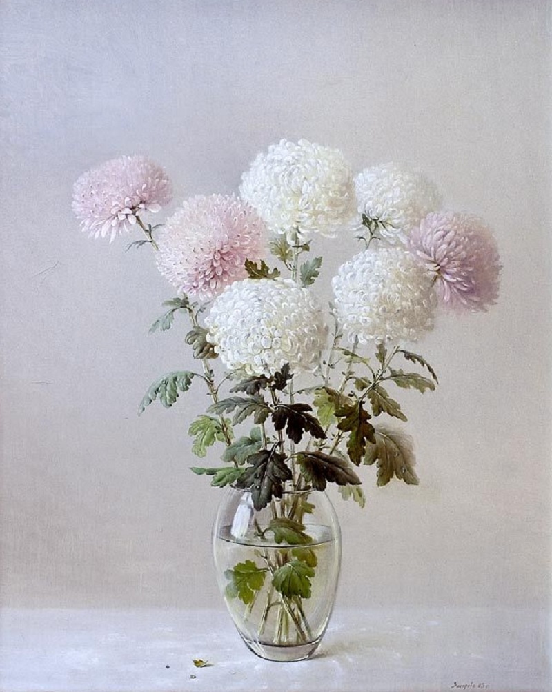 �������� ����������� : vk.com�album-176767641_271406909