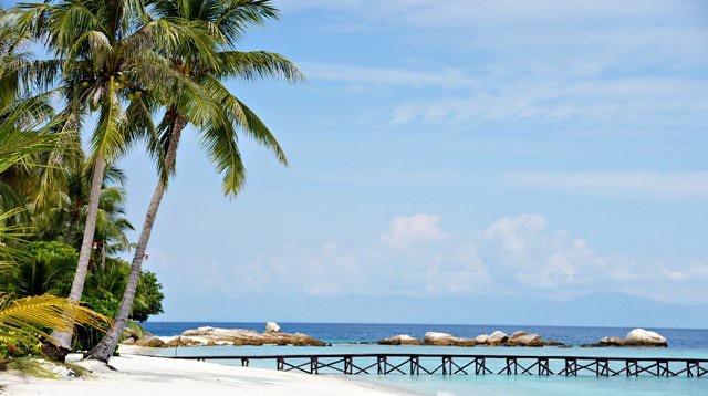 Автор фото: Benny Woo Keen Pong. Источник: Flickr