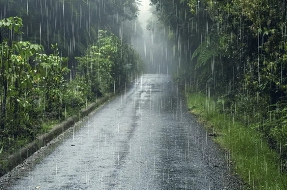    Кратковременные дожди и сильный ветер ожидаются 6 марта на Кубани