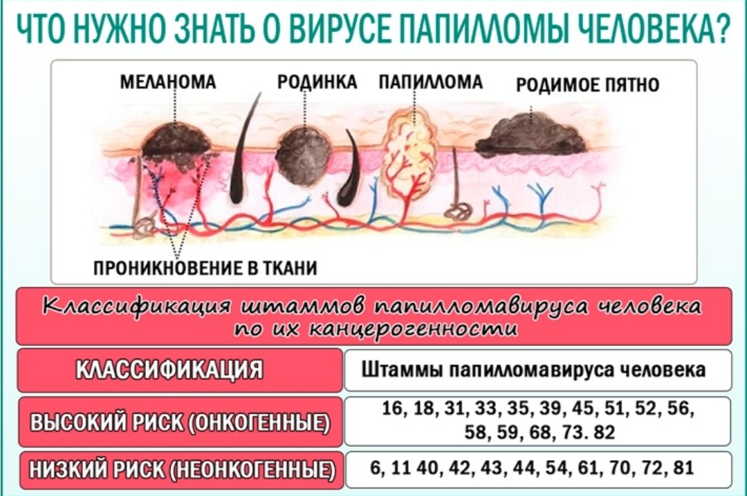 Фото Яндекс Картинки