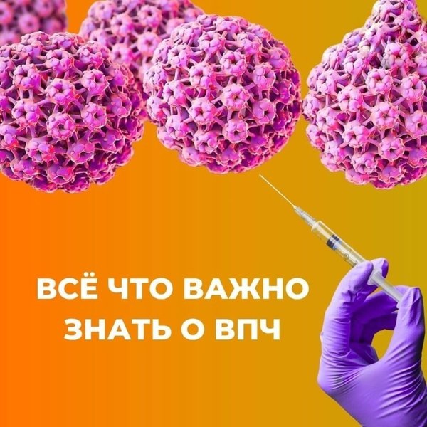 Фото Яндекс Картинки