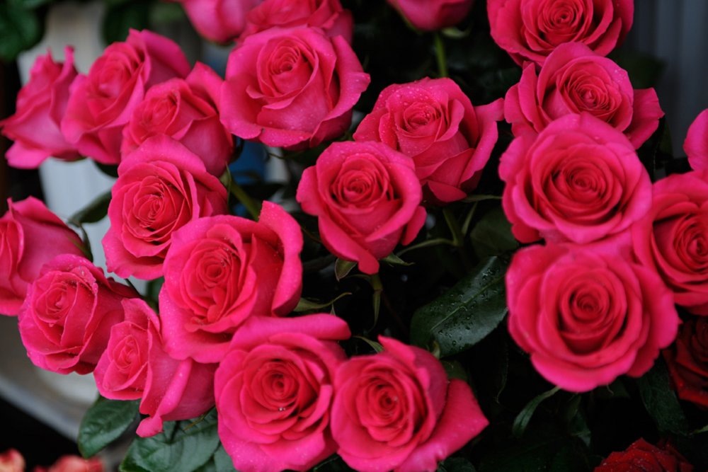 Фото: Надежда ГУСЕВА