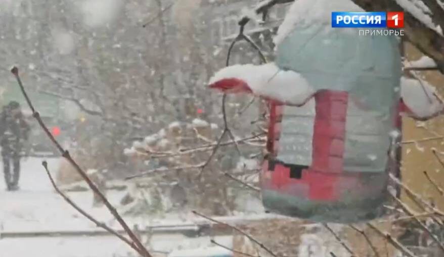    Источник фото: