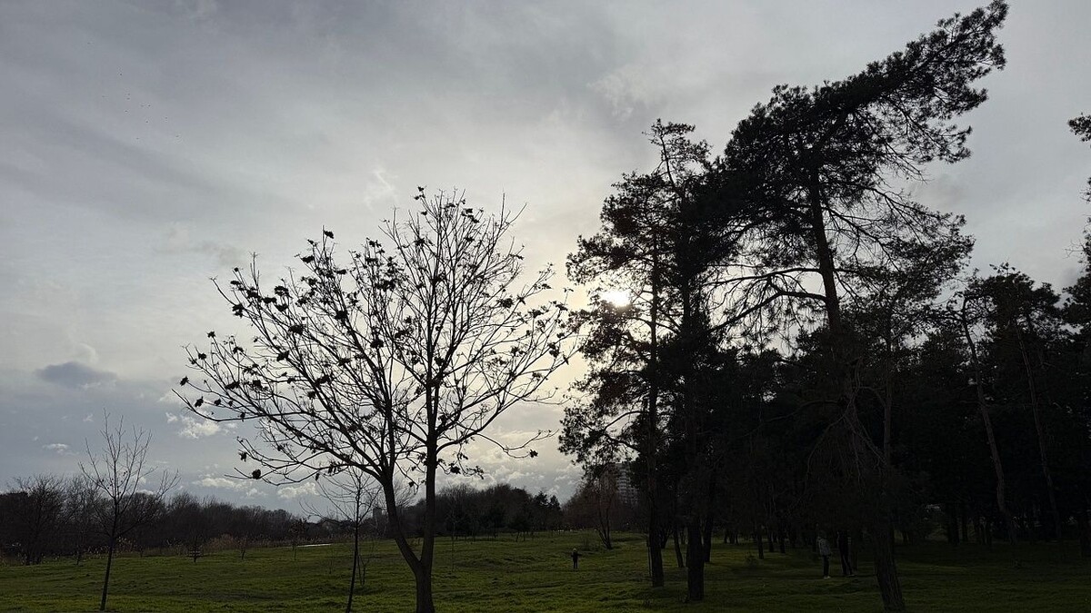    Фото: телеканал «Краснодар»