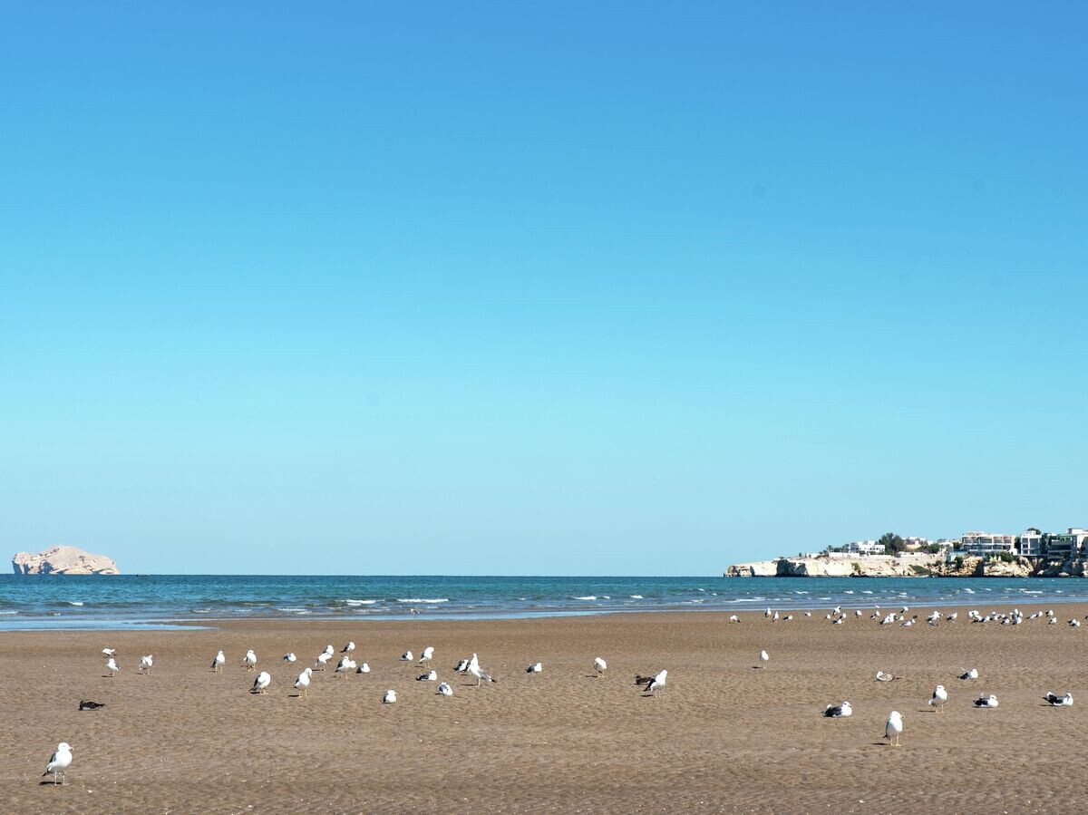    Вид на Оманский залив | © РИА Новости / Антон Быстров
