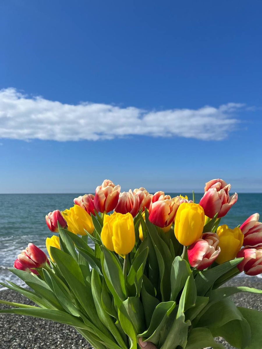 из открытых источников