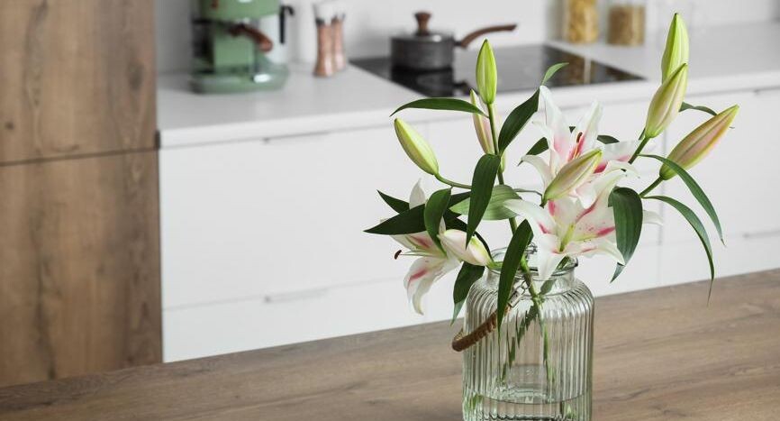 Без исключений и компромиссов: какие цветы нельзя дарить кошатницам на 8 Марта