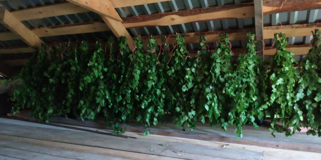 Веники, деньги и неожиданные трудности: Как я освоил этот необычный заработок.