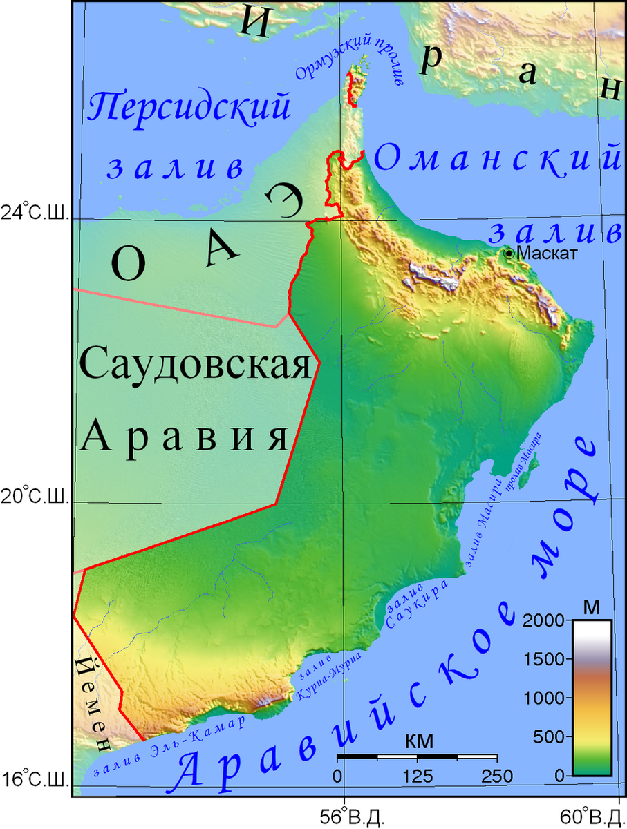 фото: яндекс.