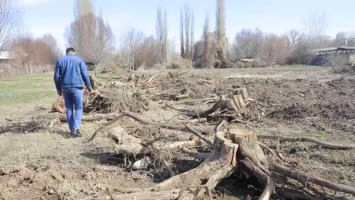 Национальный комитет по экологии и изменению климата