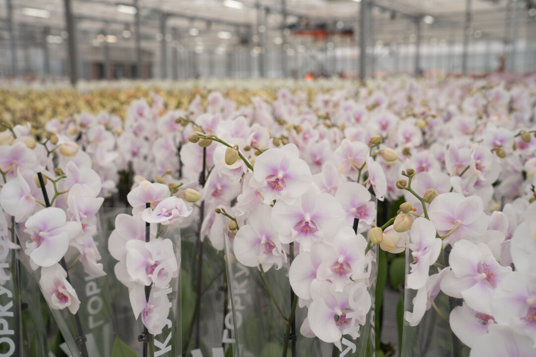    Фото предоставлено ГК "Горкунов"