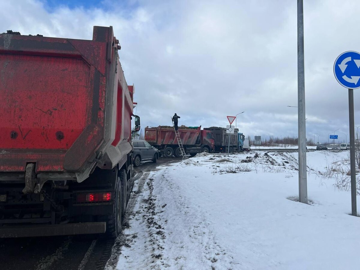    Фото: t.me/ecology47