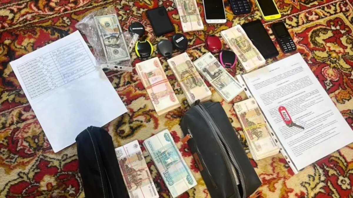    Фото: кадр видео ГУ МВД по Петербургу и Ленобласти