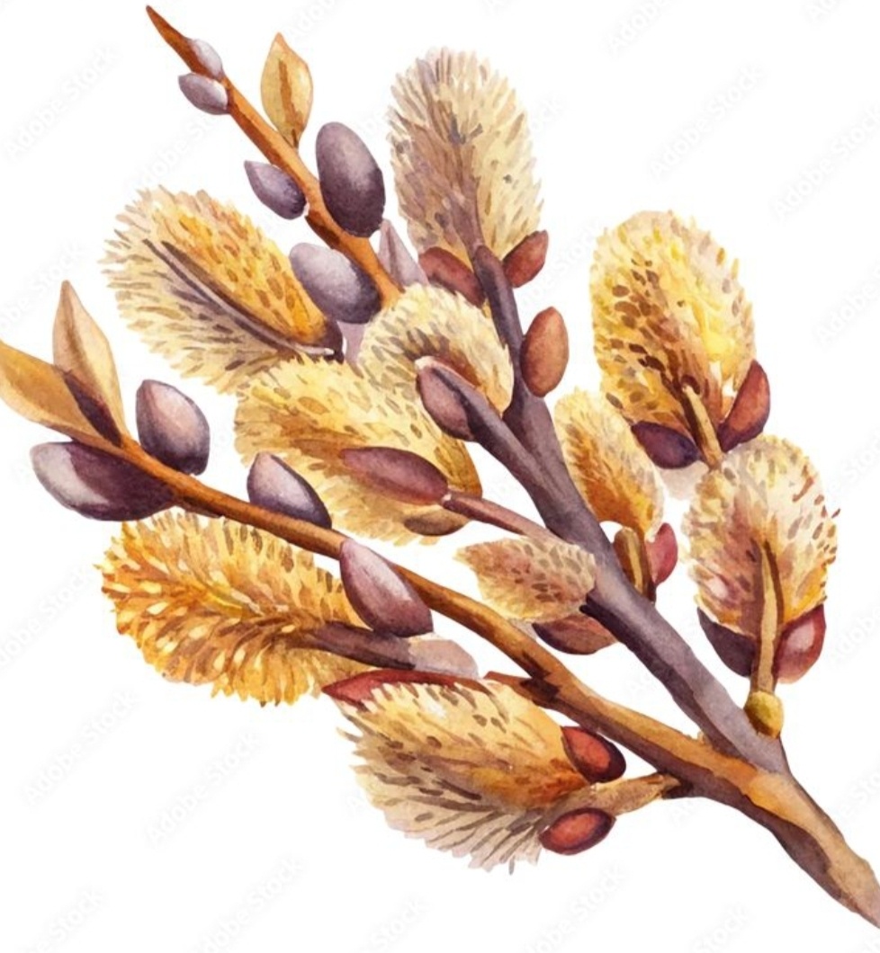 Из открытых источников