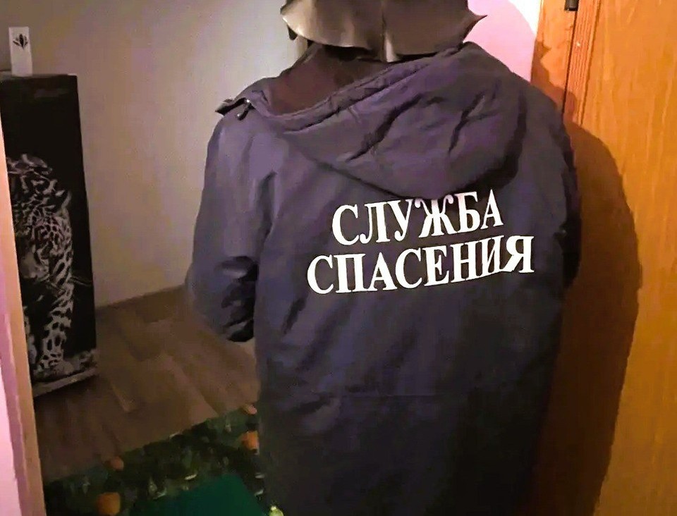    В Ульяновске спасатели вскрыли дверь и помогли хозяину попасть в квартиру | ФОТО: Управление гражданской защиты Ульяновска