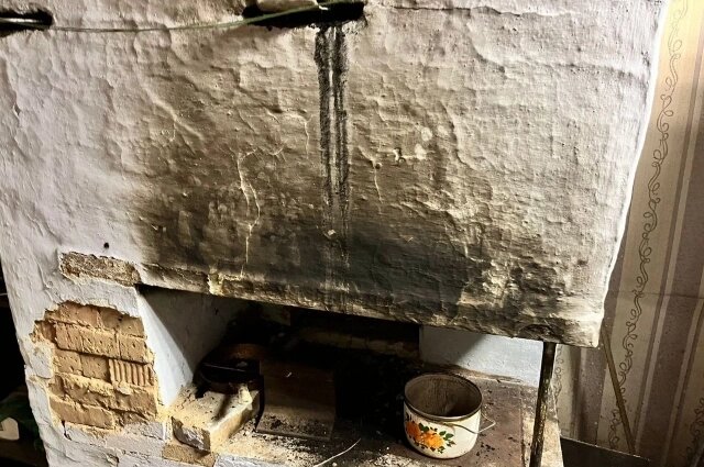    Печное отопление в частных домах оказывает негативное воздействие на экологию. Фото: АиФ