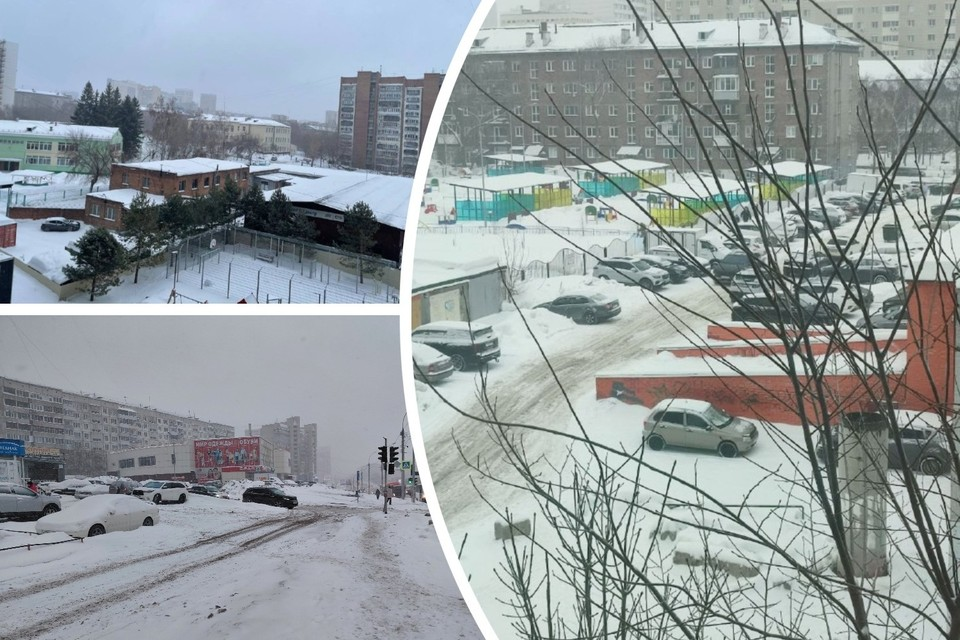 Много осадков выпало из-зп потепления. Фото: Дарья СИДОРЕНКО/Татьяна СОЛОВОВА/Надежда РЫЖКИНА