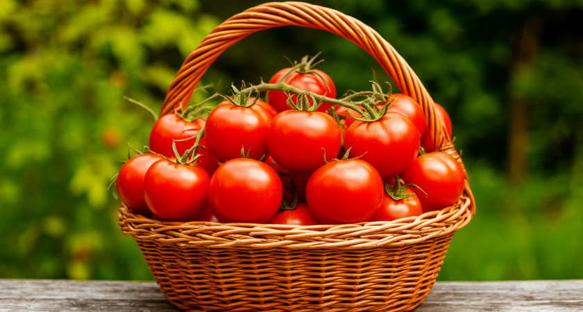    Создано нейросетями