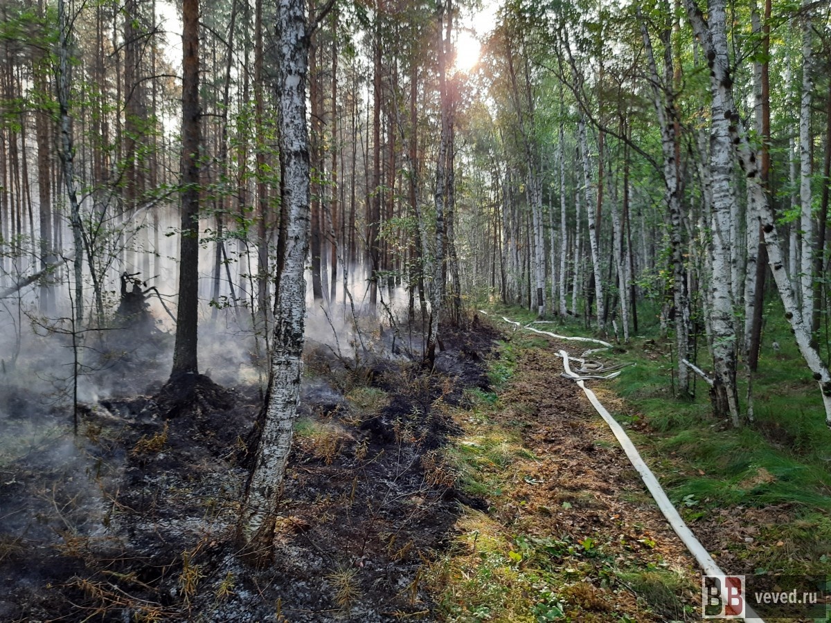     Фото: Владислав Постников / Вечерние ведомости