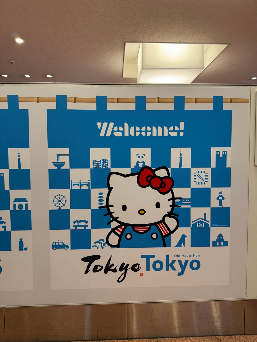 Перелёт Москва — Токио