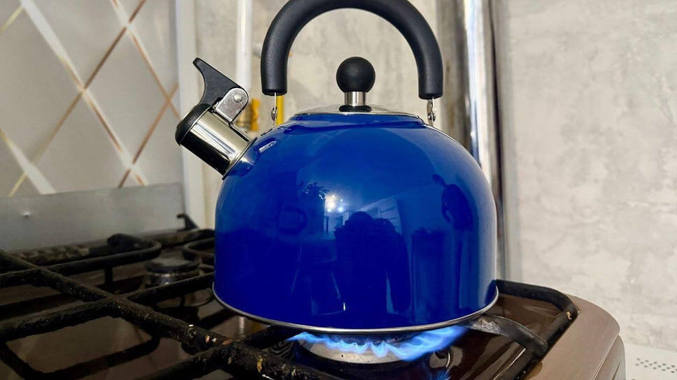 Фото: t.me / omelnichenko / Коммерсантъ