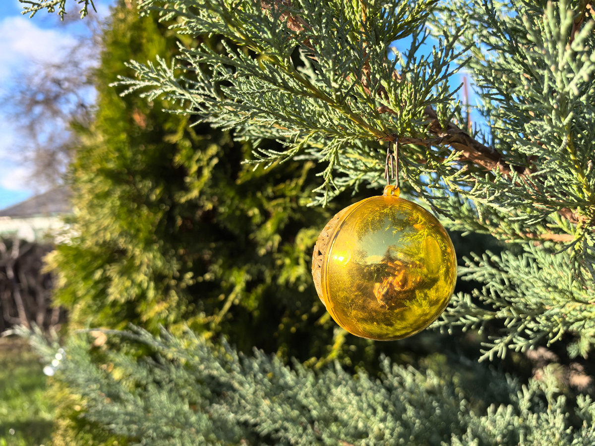 20 декабря - создаём новогоднее настроение