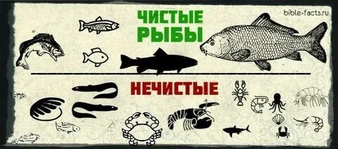 Единственное, что 100% объединяет христиан, иудеев и мусульман