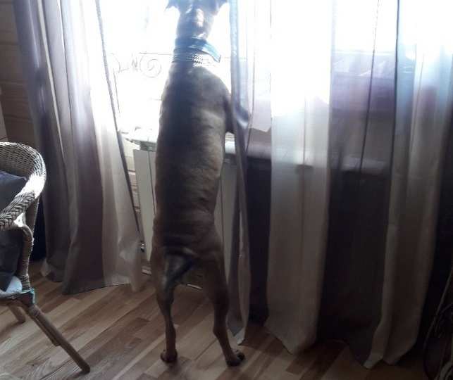 Весенняя пятница