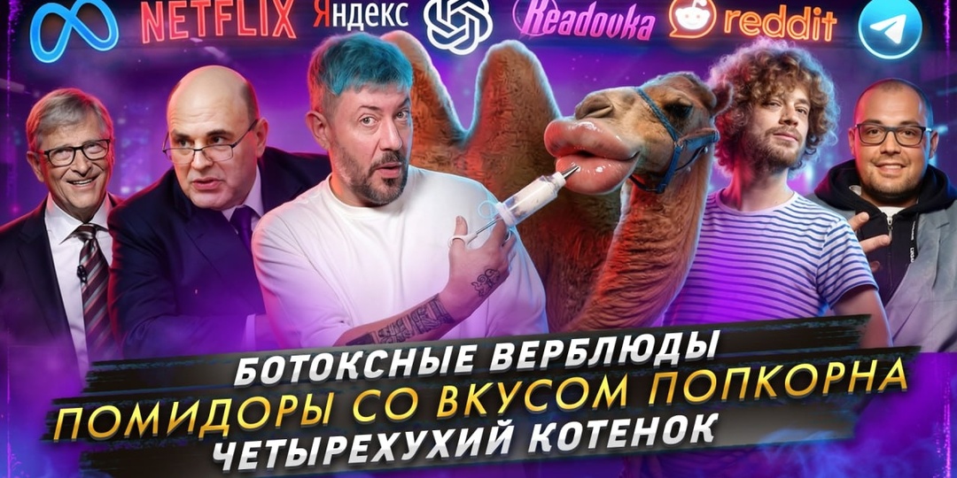 № 702 Ботоксные верблюды / Помидоры со вкусом попкорна / Четырехухий котенок