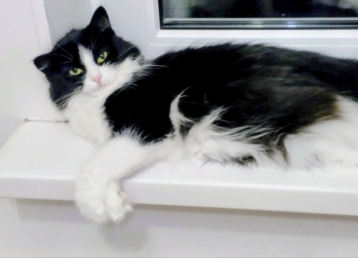 В тот вечер я просто выключила телефон, надела тёплые носки и сказала себе: «До понедельника я никому ничего не должна»