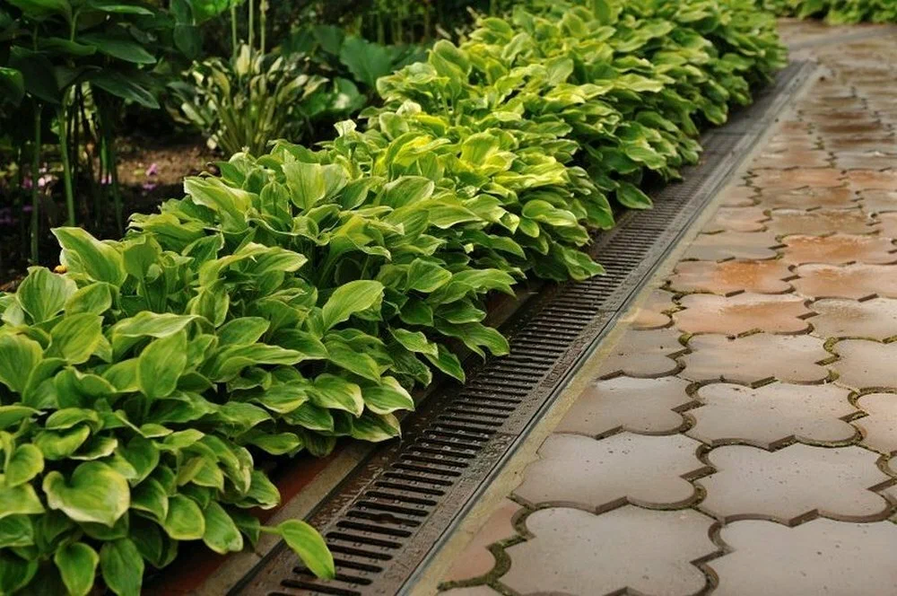 Пример интегрированной ливневой канализации