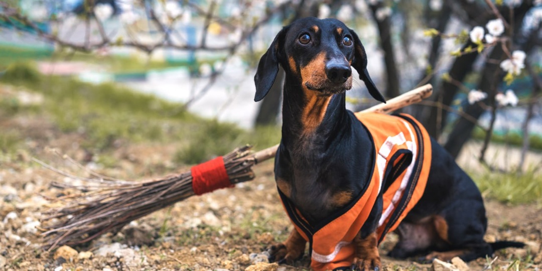 Как назовете происходящее на этом весеннем фото