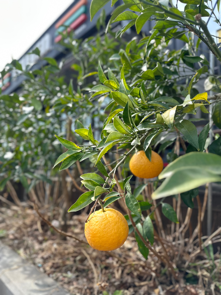 Фото автора. Март 2026 