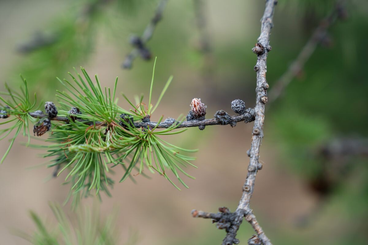 Фото: Александр Плонский / «Агроэксперт»