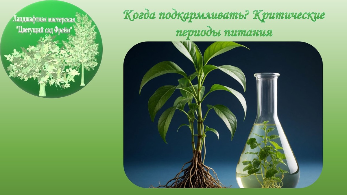 Фото автора с использованием изображения, созданного ИИ