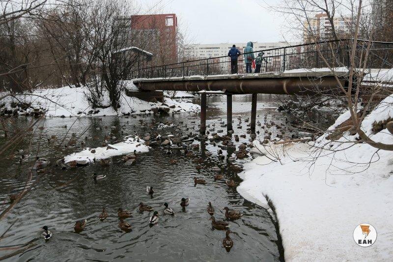 Синоптики предупредили об угрозе паводков в Свердловской и Челябинской областях