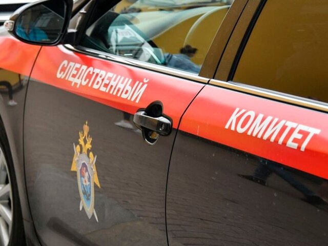    Фото: Москва 24/Антон Великжанин