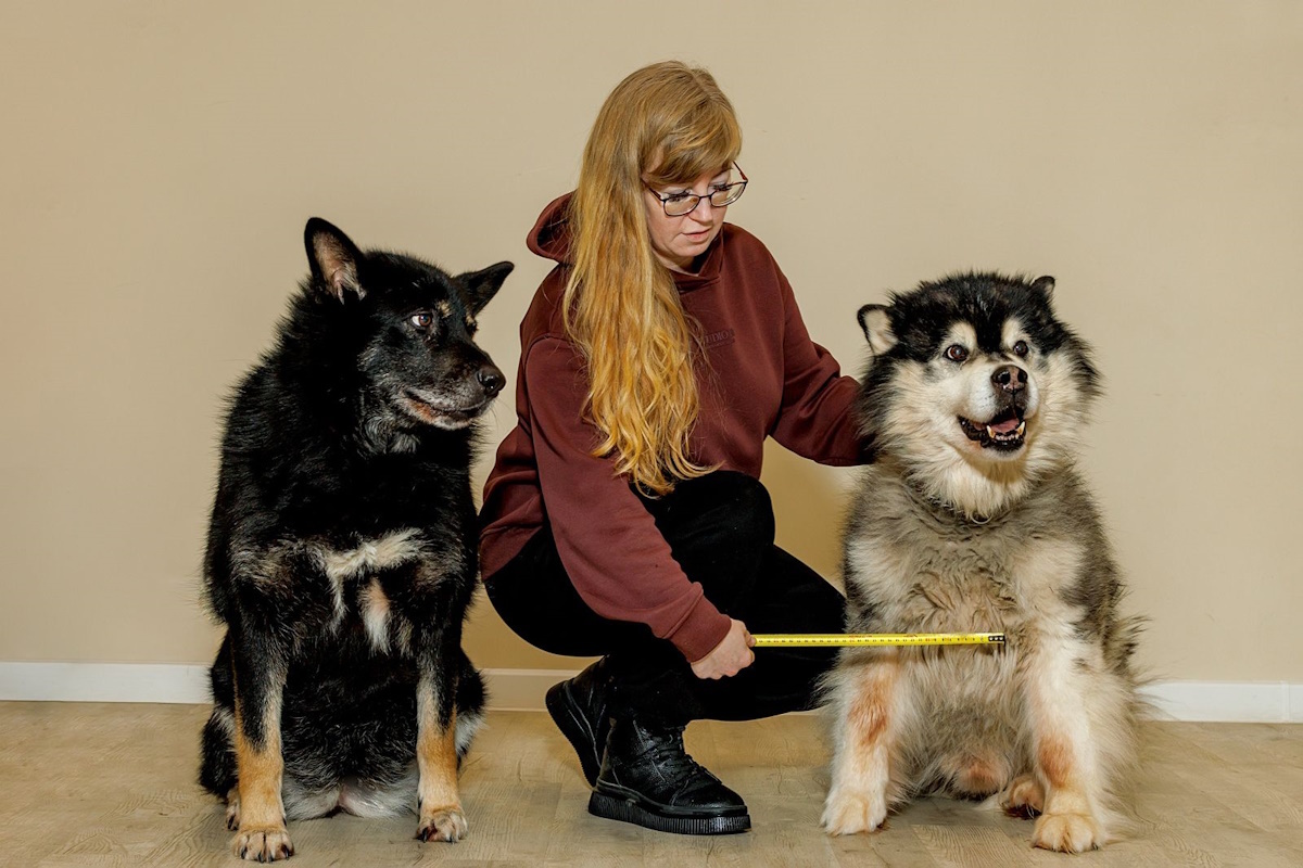    Фото: правительство Москвы, источник: mos.ru