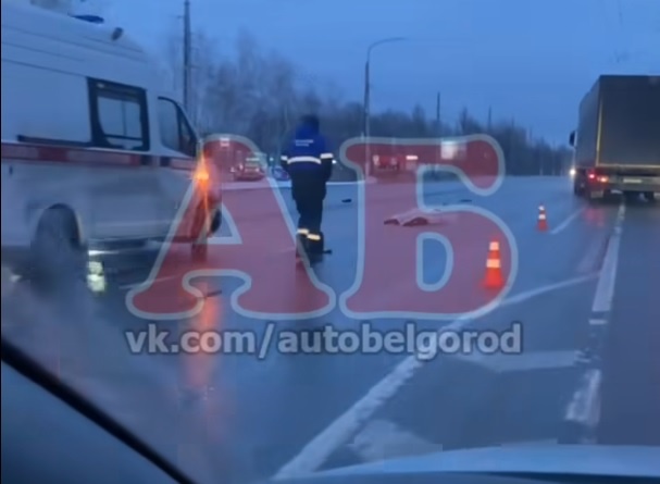     Фото: скриншот видео vk.com/autobelgorod