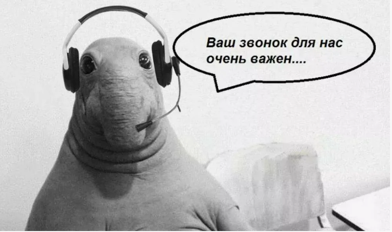 Фото из интернета.