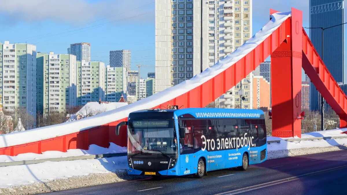    Источник: vm.ru/ Мария Михайлова