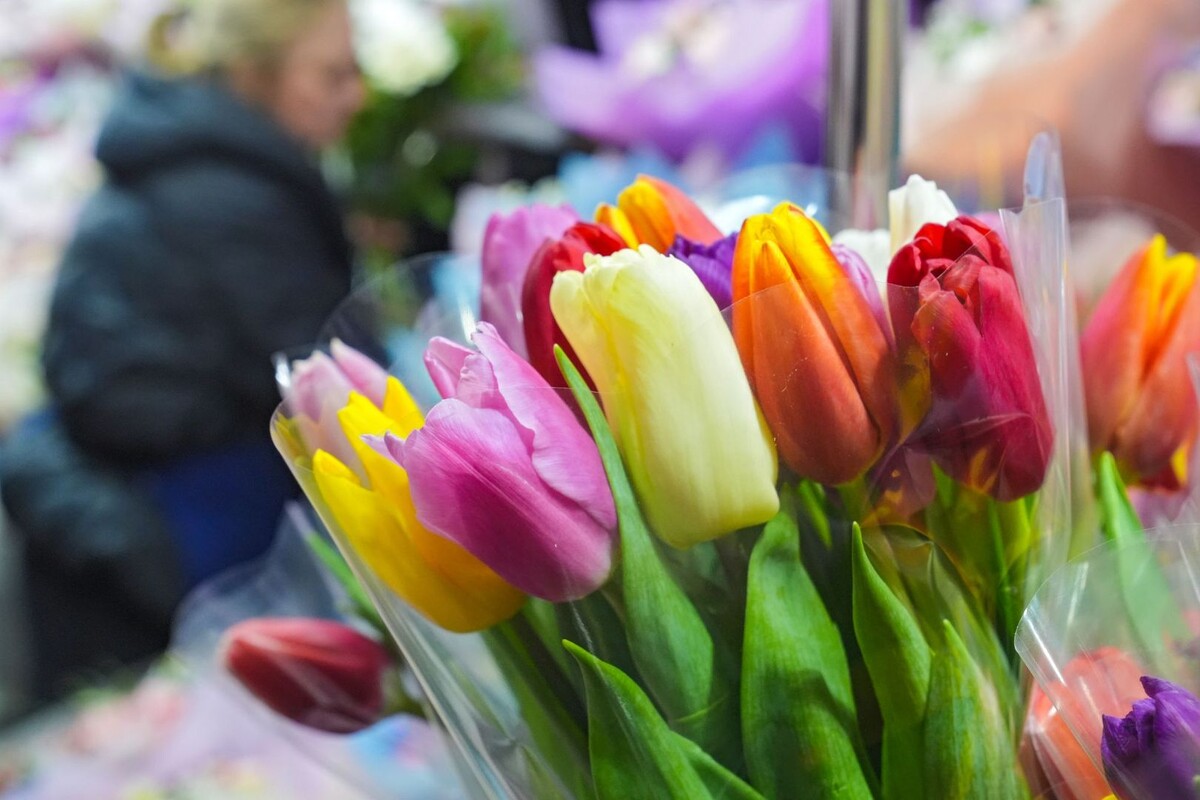     / Источник: © ИЗВЕСТИЯ/Эдуард Корниенко