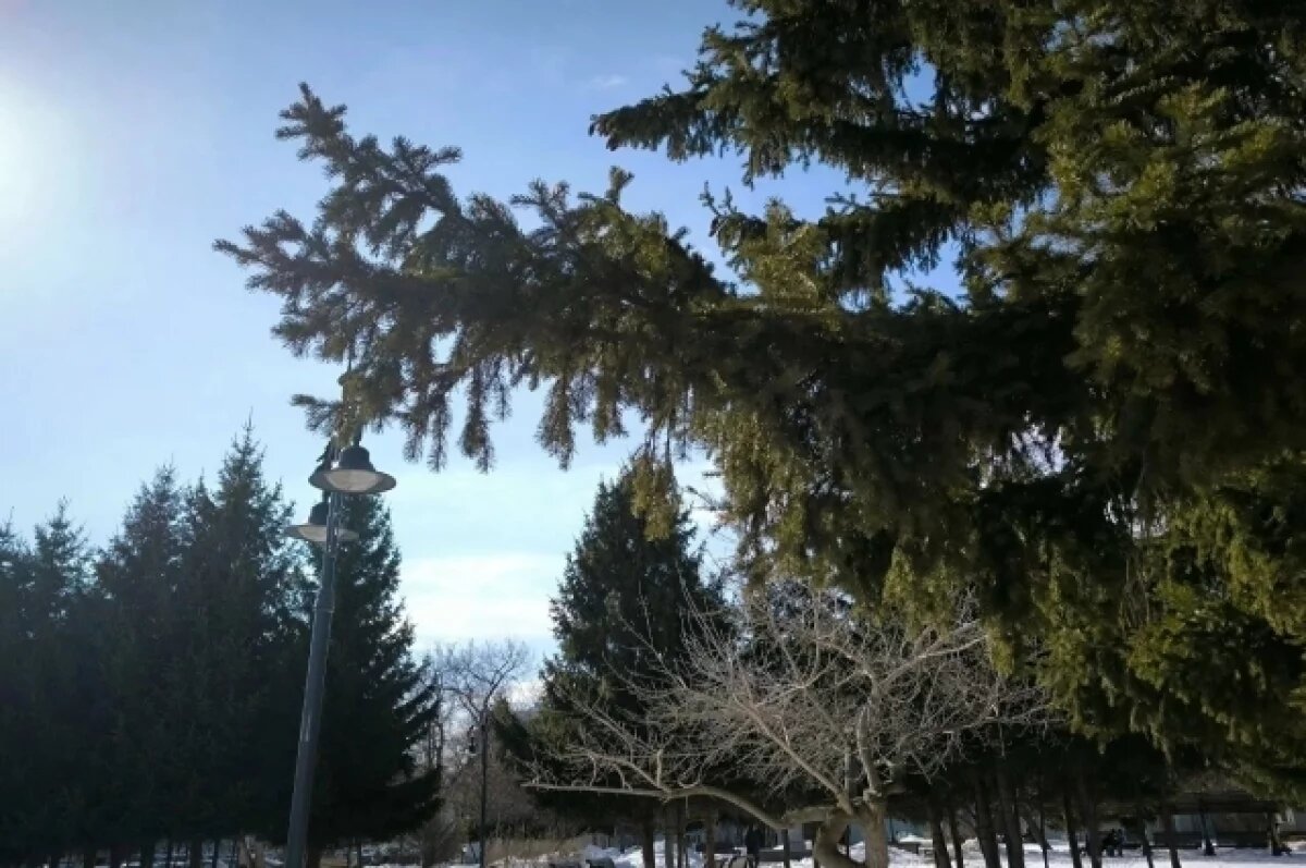    Стало известно, какая погода будет в Томске 8 марта