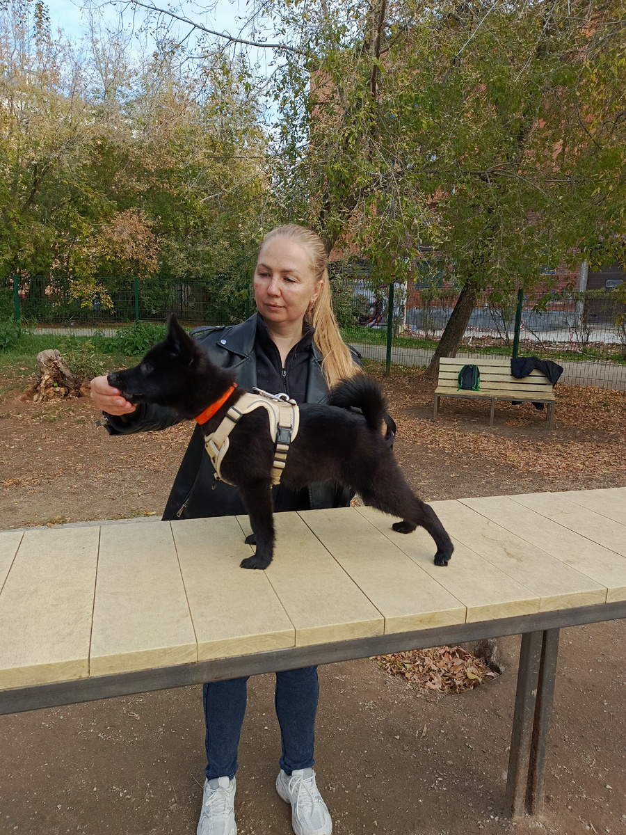 Фото автора