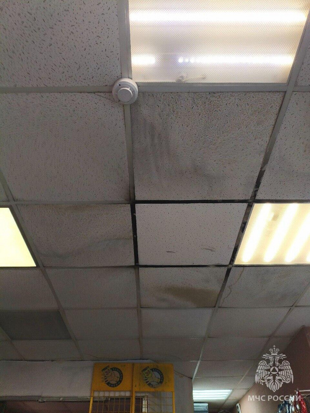    Суд закрыл кировский магазин «24 часа» на месяц из-за пожароопасных нарушений