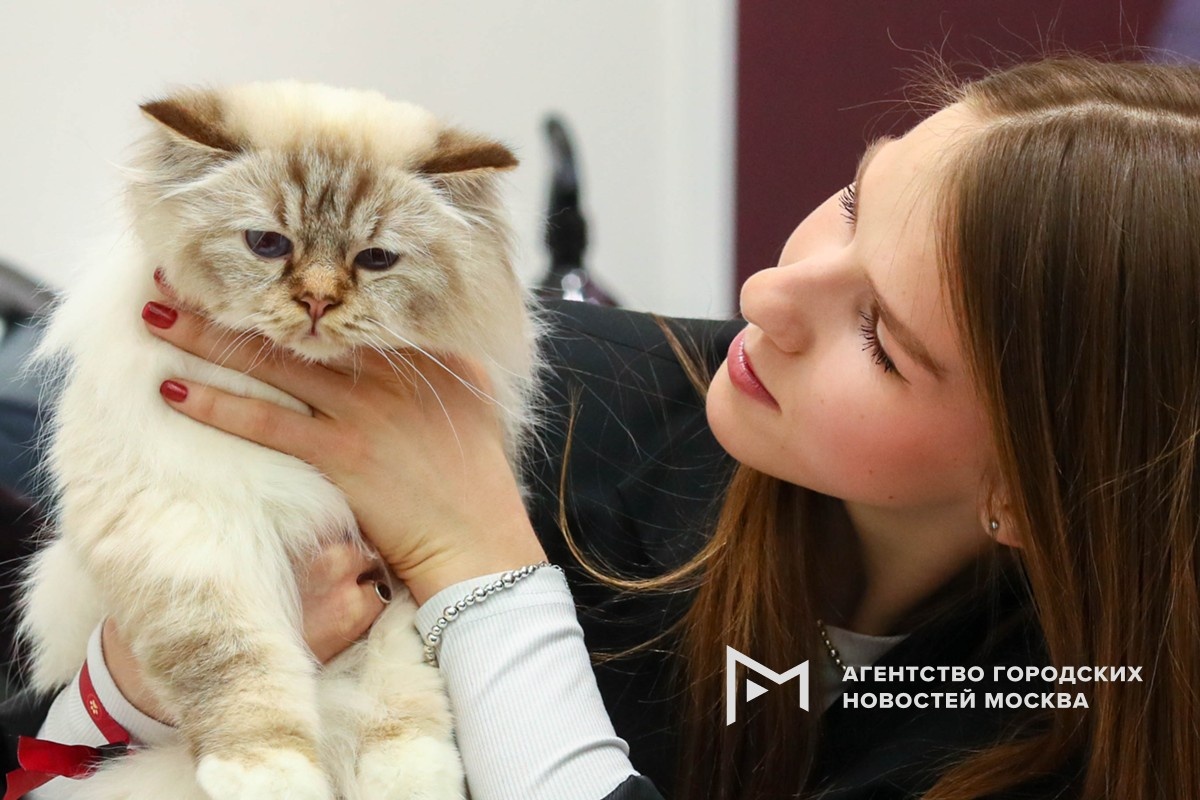 Фотограф: Василий Кузьмичёнок