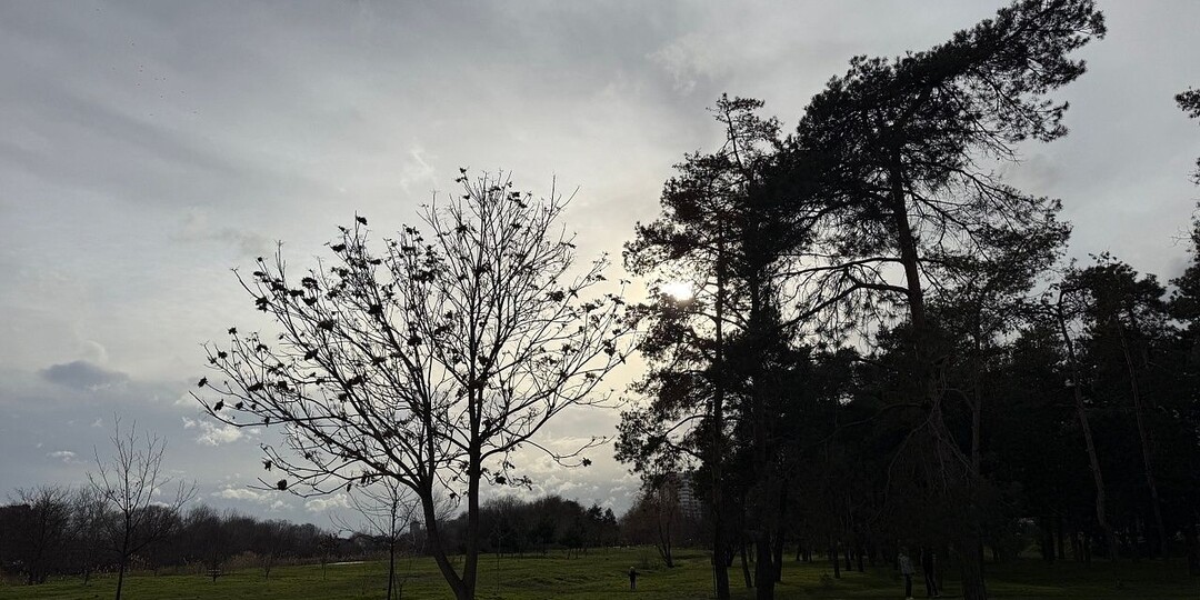 Два человека пострадали после падения обломков БПЛА в Абинском районе