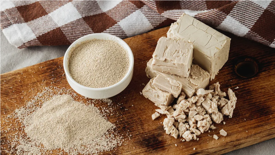 Можно ли повторно использовать дрожжи для браги? Разбираемся с «Градус Хаус» 🍻🔬