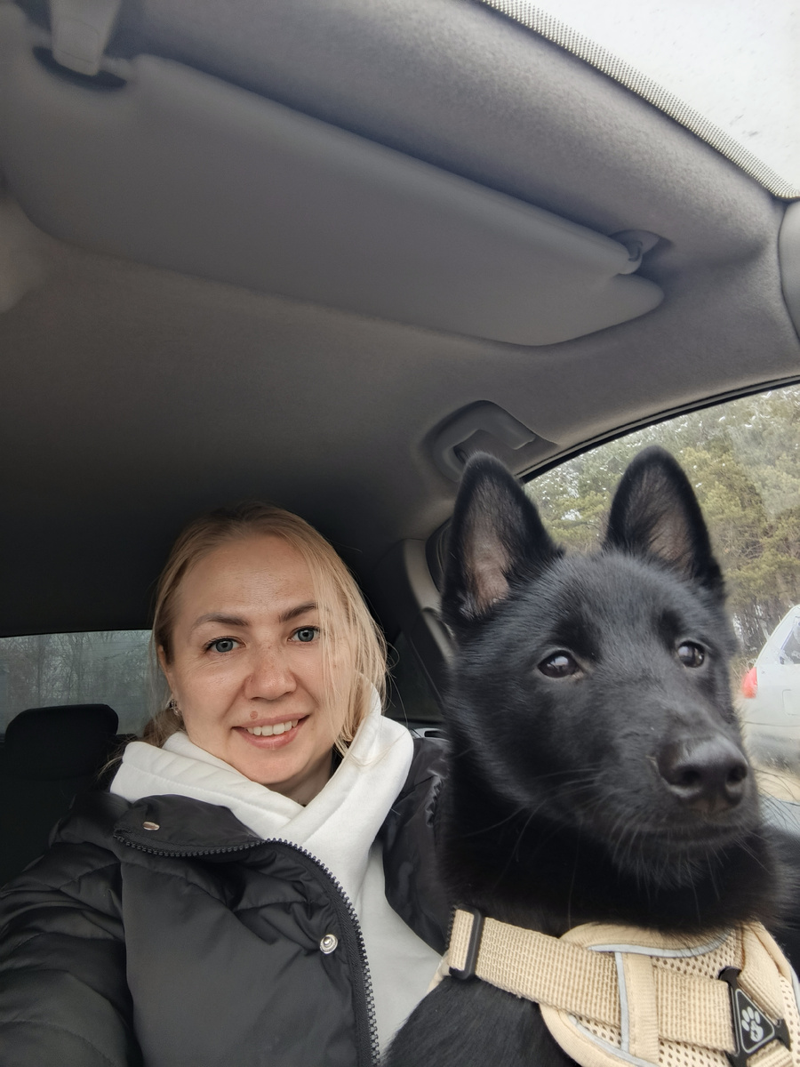 Я прямо на своем опыте могу сравнивать жизнь с крупной собакой и мелкой.