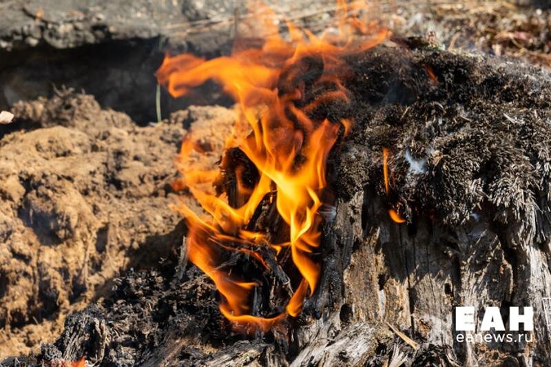 В Тюменской области расширили перечень зон риска, которым угрожают лесные пожары